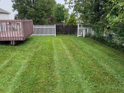 Lawn Care service in Canal Winchester, 43110
