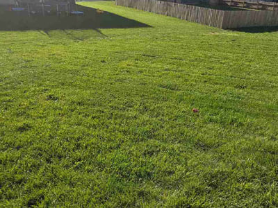 Lawn Care service in Ashville, 43103
