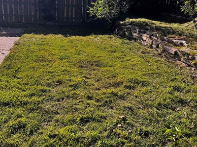 Lawn Care service in Braintree, 02184