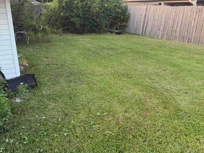 Lawn Care service in Harvey, 70058
