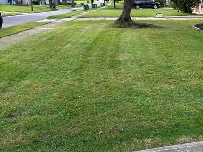 Lawn Care service in Hinckley, 44233