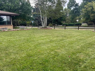 Lawn Care service in Lakewood, 80226