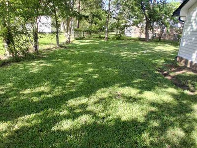 Lawn Care service in College Station, 77840