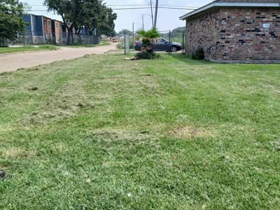 Lawn Care service in Dedham, 02026
