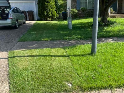 Lawn Care service in Mays Landing, 08330