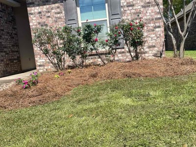 Lawn Care service in Foley, 36535