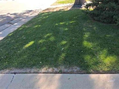Lawn Care service in Westminster, 80030