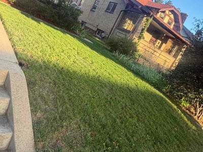 Lawn Care service in Greenwood Village, 80121