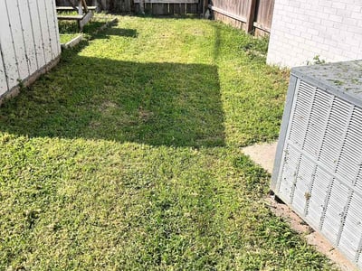 Lawn Care service in Sharon, 02067