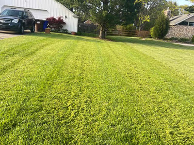 Lawn Care service in Hamilton, 45011