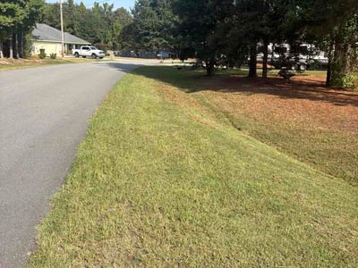 Lawn Care service in Phenix City, 36867