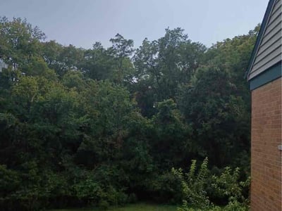 Lawn Care service in Cleves, 45002