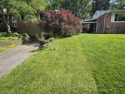 Lawn Care service in Cleves, 45002