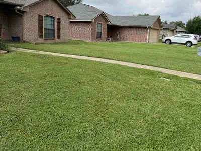 Lawn Care service in San Benito, 78586