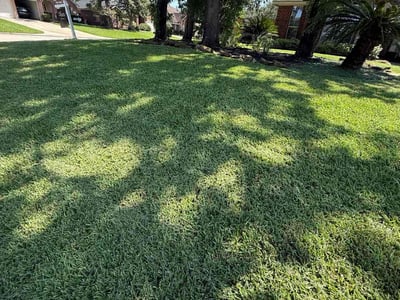 Lawn Care service in San Benito, 78586