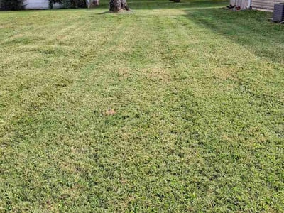 Lawn Care service in Haysville, 47546