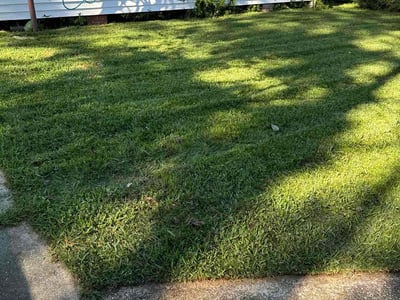 Lawn Care service in Port Allen, 70767