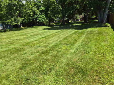 Lawn Care service in Medina, 44256
