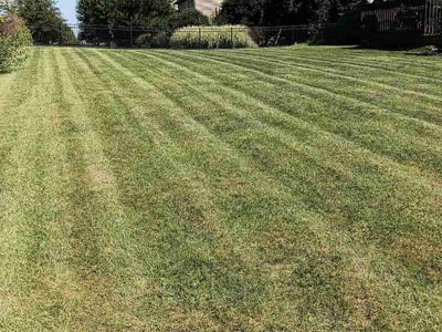 Lawn Care service in Champaign, 61820