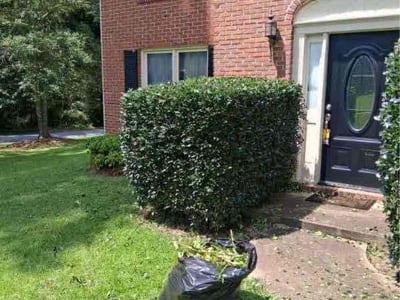 Lawn Care service in Scranton, 18503