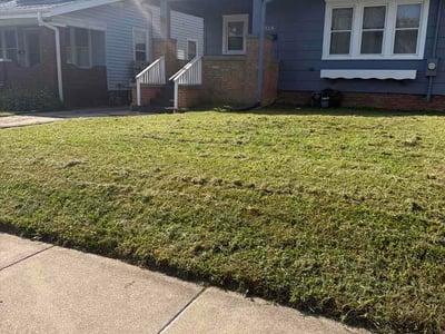 Lawn Care service in Champaign, 61820