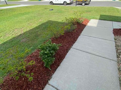 Lawn Care service in Prairieville, 70769