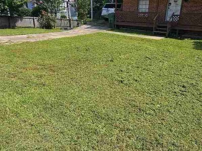 Lawn Care service in Jasper, 35501