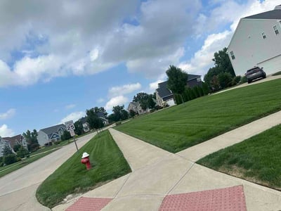 Lawn Care service in Sheffield Lake, 44054