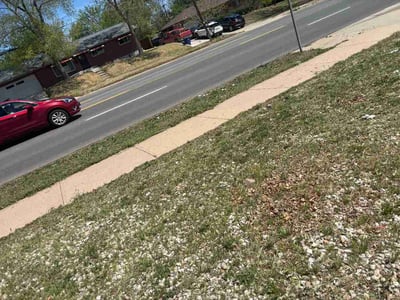 Lawn Care service in Golden, 80401