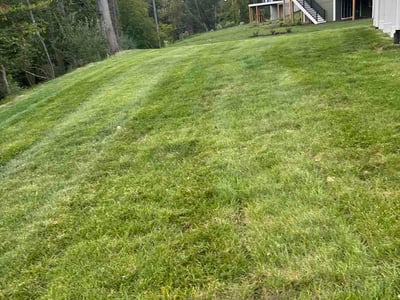 Lawn Care service in Charlottesville, 22902