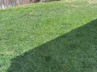 Lawn Care service in Golden, 80401