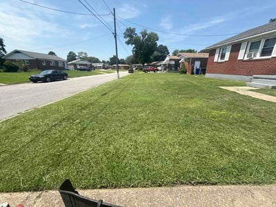 Lawn Care service in Pacific Beach, 92109