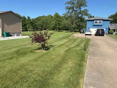 Lawn Care service in Painesville, 44077