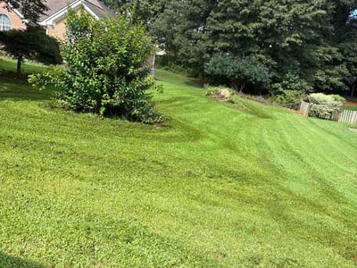 Lawn Care service in Pacific Beach, 92109