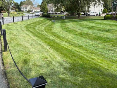 Lawn Care service in ,