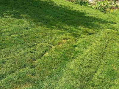 Lawn Care service in Waunakee, 53597