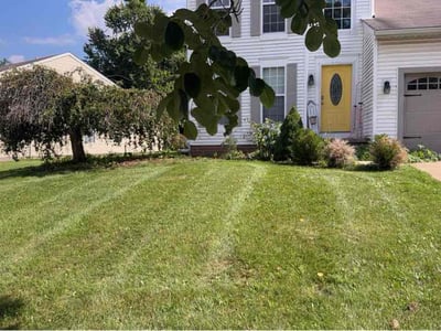Lawn Care service in Painesville, 44077