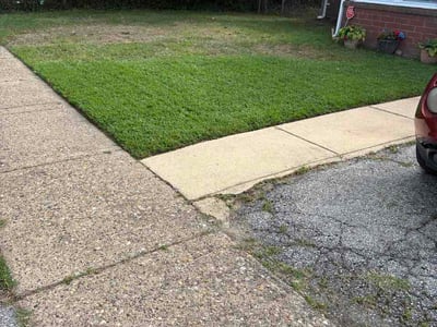 Lawn Care service in ,
