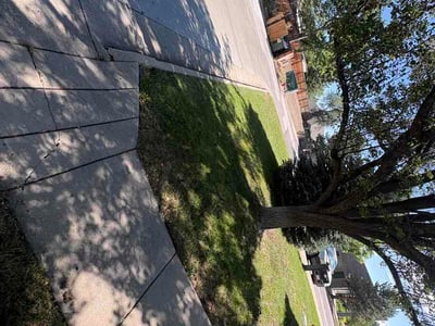 Lawn Care service in Broomfield, 80020
