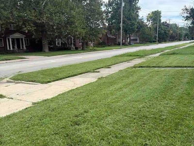 Lawn Care service in Urbana, 61801