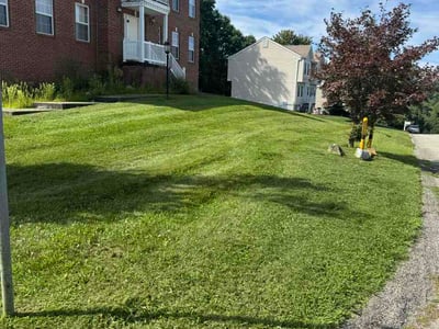 Lawn Care service in Connellsville, 15425