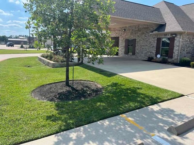 Lawn Care service in Orange, 77630
