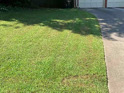 Lawn Care service in Athens, 30601