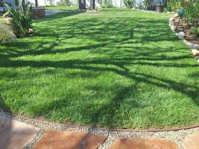 Lawn Care service in Thousand Oaks, 91362