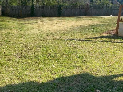 Lawn Care service in Escondido, 92025