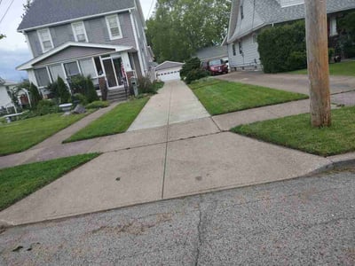 Lawn Care service in Euclid, 44123