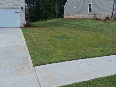 Lawn Care service in Locust Grove, 30248