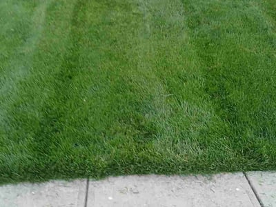 Lawn Care service in Butler, 16001