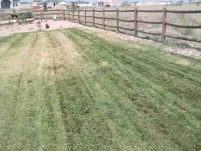 Lawn Care service in Peyton, 80831
