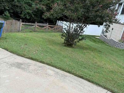 Lawn Care service in La Plata, 20646